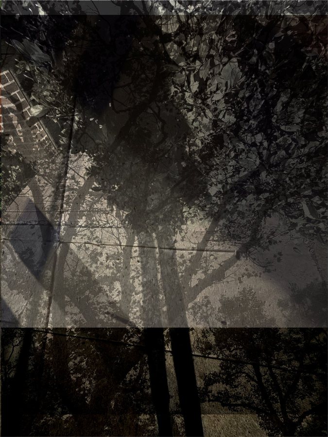 Elizabeth Baldwin - Dark Layered Trees