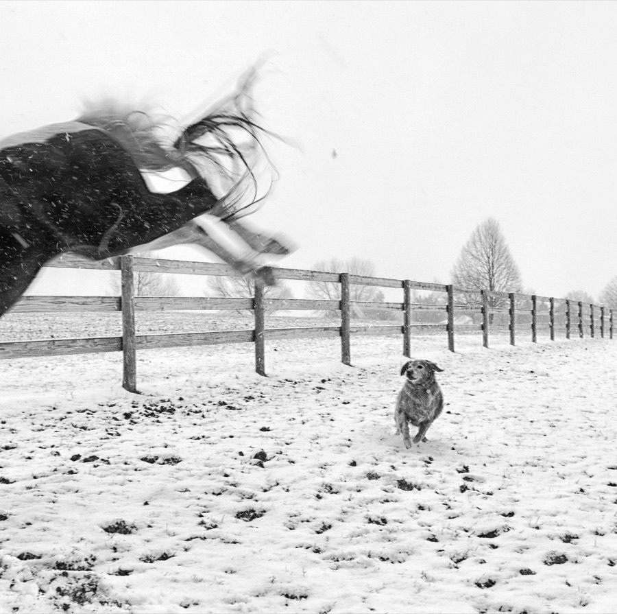 Anne Connor (Ridgeway, WI) - Minnie Kicks Up Her Heels