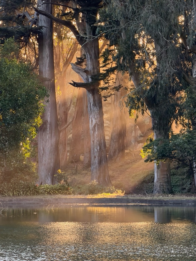Cherie Correll (Lake Ann, MI) - Golden State Park