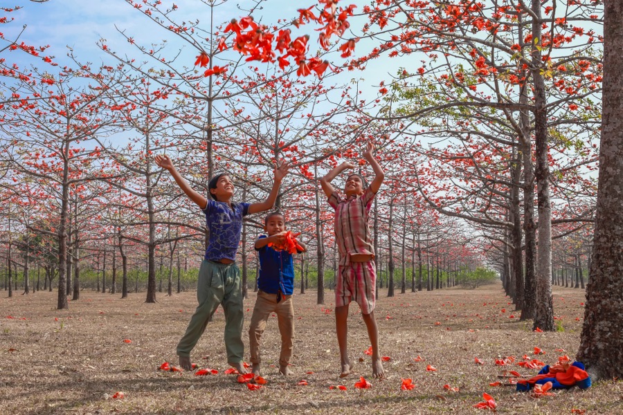 Muhammad Amdad Hossain (Chattogram, Bangladesh) - Joy in Bloom